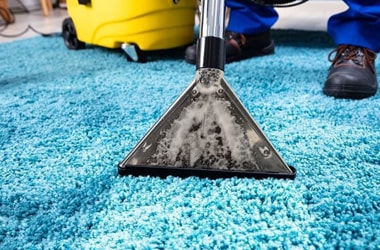 Carpet Sanitising Service
